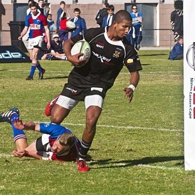 Manie nou volwaardige Springbok