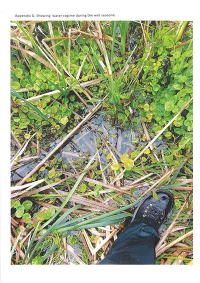 Environmental compliance notice for Village Ridge