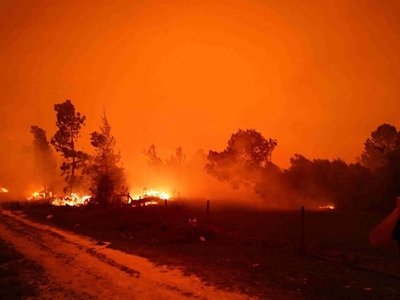 Sanparks 'could have saved lives'