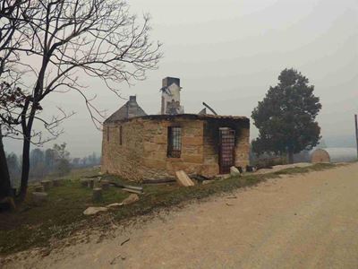 Run / walk for Toll House