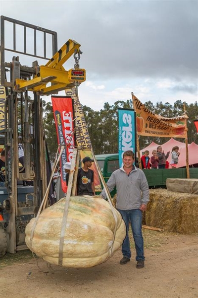 Half-ton pumpkin crowned king