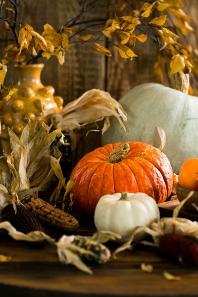 Versatile pumpkin recipes with a modern twist