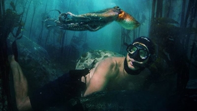 SA’s ‘My Octopus Teacher’ bags Bafta