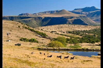 Great Karoo reserve goes Big Five