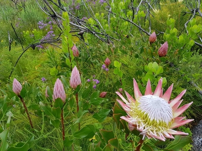 Spring shows positive signs of recovery 