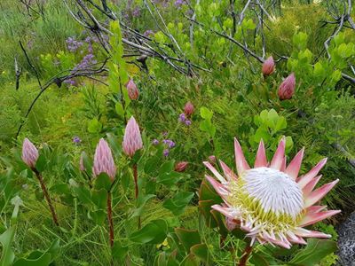 Spring shows positive signs of recovery 