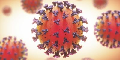 WC Government: Staying safe and saving lives