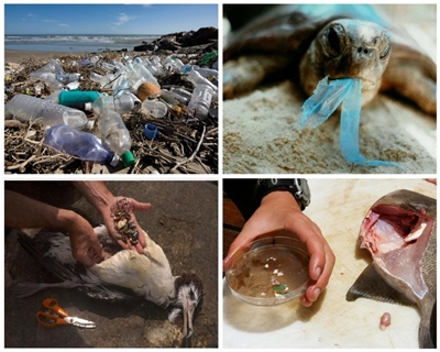 Enviro Monday: How plastic ends up in the ocean