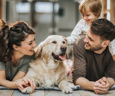 How our dogs are leading the house hunting journey