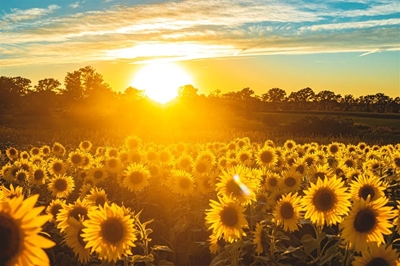 Sunny and windy with a possibility of showers in the Eastern Cape