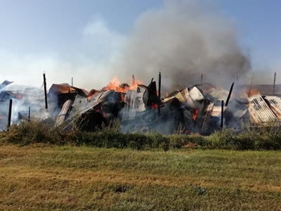 Beeste veilig na brand