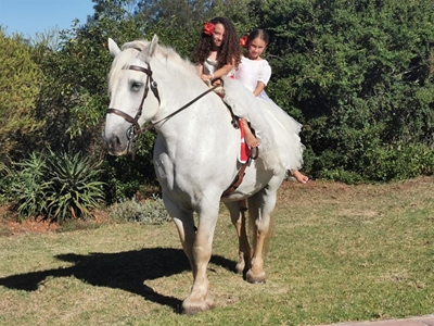 'Heavy draft horses deserve our reverance'