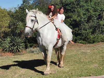 'Heavy draft horses deserve our reverance'