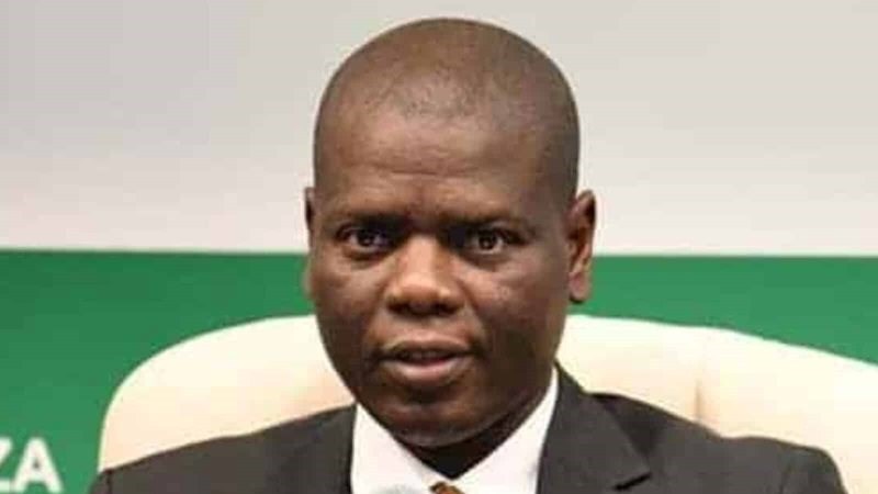 ‘No agreement with Israel to remove Palestinians from Gaza’ – Lamola