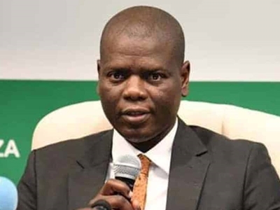 ‘No agreement with Israel to remove Palestinians from Gaza’ – Lamola