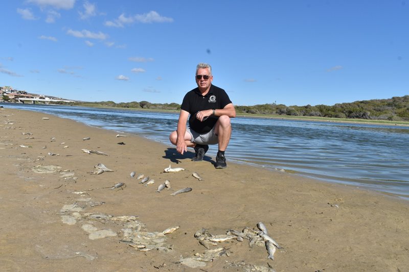 Multiple opinions on Hartenbos fish kill