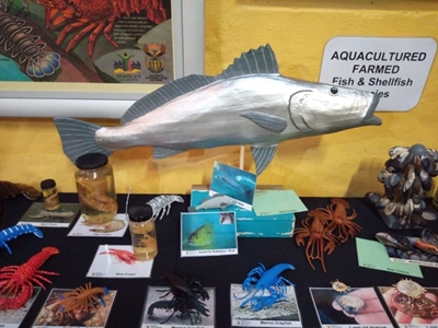 Don’t miss top-class marine life exhibition