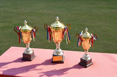 Record number of nominees for this year's Eden Sport Awards