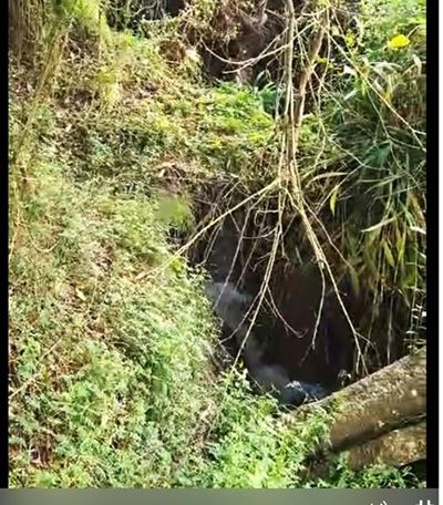Sewage spills into Kat River after main sewer line collapses