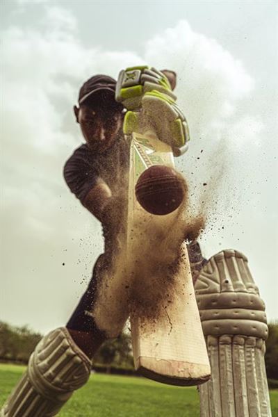 Stallions to face Willowmore in first T20 match in 2024