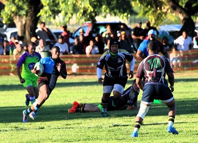 Harlequins wen riller teen Baabas