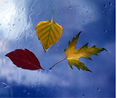 Widespread cold and wet weather for the Cape provinces 