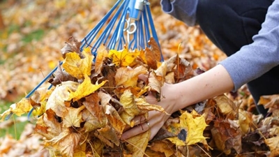 Autumn gardening