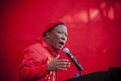 61% of EFF MPs have resigned or been expelled since the 2014 election – study