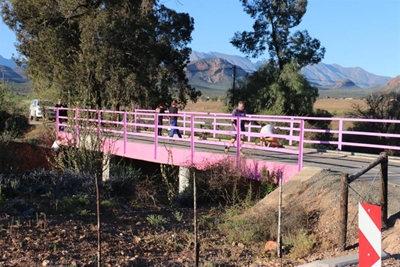 Pienk brug vir kanker