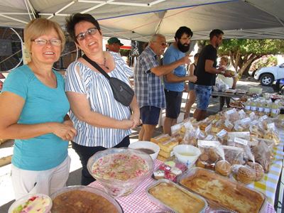 Bazaar raises funds for solar panels