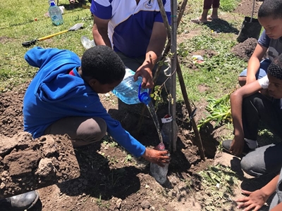 20 trees of hope for Rheenendal Primary