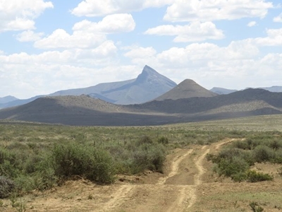Bird club visits Quaggasvlei