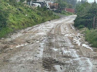 Roads cause distress