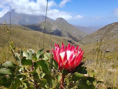 Outeniqua Nature Reserve introduces permit fee 