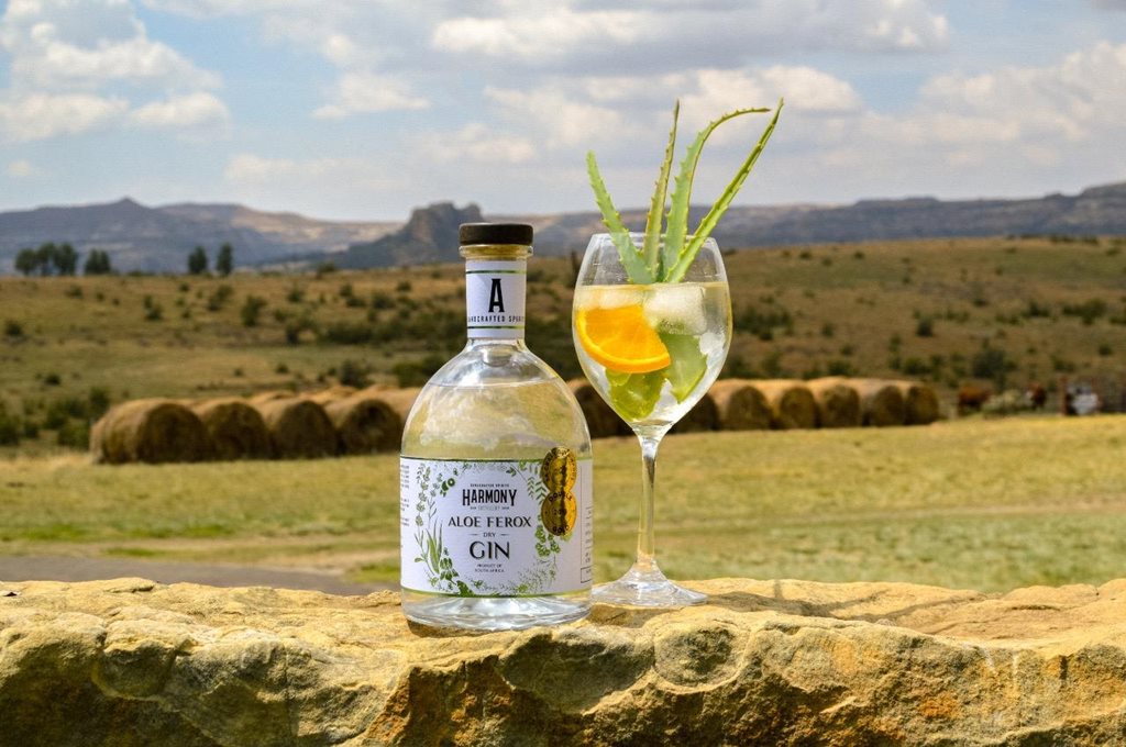 Misty Valley: Best event venue in Mossel Bay