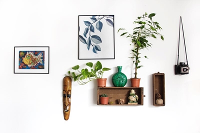 Five things a tenant should do in rental property