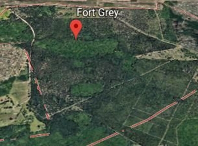 Have your say on Grey Dell being declared a natural forest