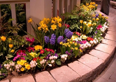 Garden tips to increase your home's appeal