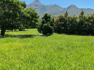 When the grass is greener, look for the lawnmower