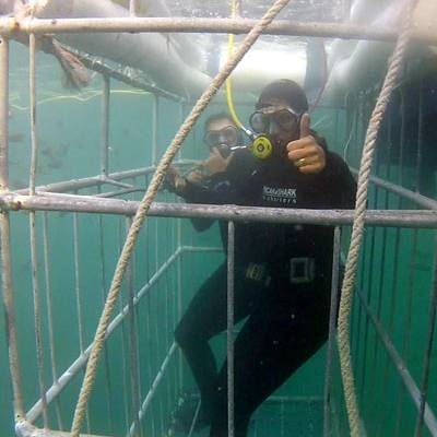 The where and how to cage dive with Great White Sharks