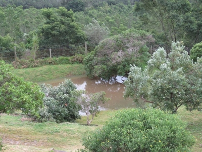 Showers wash restrictions away