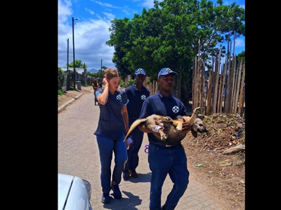 SPCA takes animal welfare to the streets