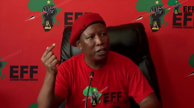 JSC interviews: ‘I can’t help that I’m white,’ ConCourt candidate tells Malema