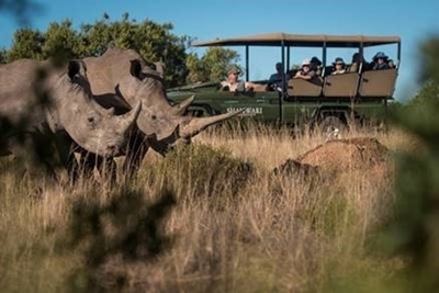Conserving rhinos: World Rhino Day