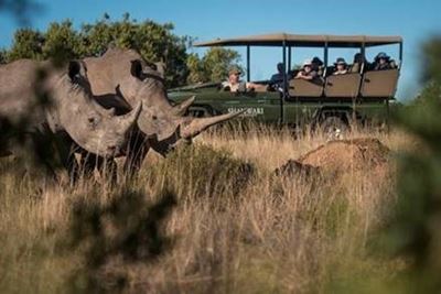 Conserving rhinos: World Rhino Day