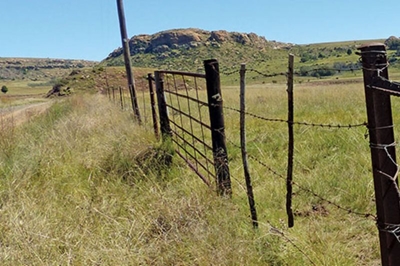Committee established to ensure safer farming & rural communities
