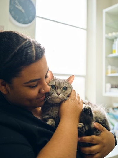 5 ways to make vet visits less stressful for your cat