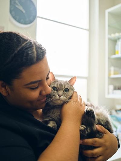 5 ways to make vet visits less stressful for your cat
