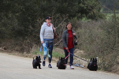 Oudtshoorn Dogs in Need dog show 