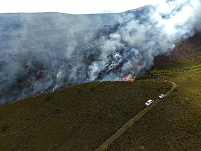 Veldbrand steeds aktief in bergagtige gebied by Heidelberg